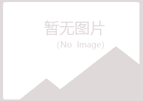 太谷县沙砾咨询有限公司